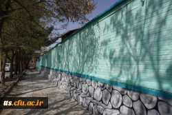 به استقبال بهار... 21