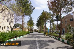 به استقبال بهار... 25