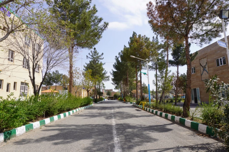 به استقبال بهار... 25