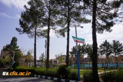 به استقبال بهار... 28