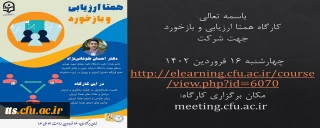 کارگاه همتا ارزیابی و بازخورد 