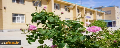 به روایت تصویر 

طبیعت بهاری دانشگاه فرهنگیان، مرکز علامه طباطبایی سبزوار