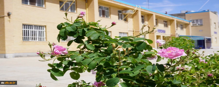 طبیعت بهاری دانشگاه فرهنگیان، مرکز علامه طباطبایی سبزوار 2