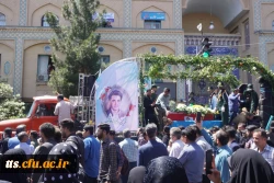 همه آمده بودند... 5