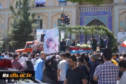 همه آمده بودند... 9