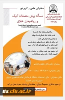 سخنرانی علمی و کاربردی مسئله برش منصفانه کیک و ریاضیدان خلاق  2