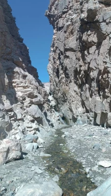  اردوی علمی ـ آموزشی، ورزشی و سیاحتی یک روزه با حضور ۴۰ نفر از دانشجومعلمان در مجموعه تاریخی آتشکده آذر برزین مهر  9